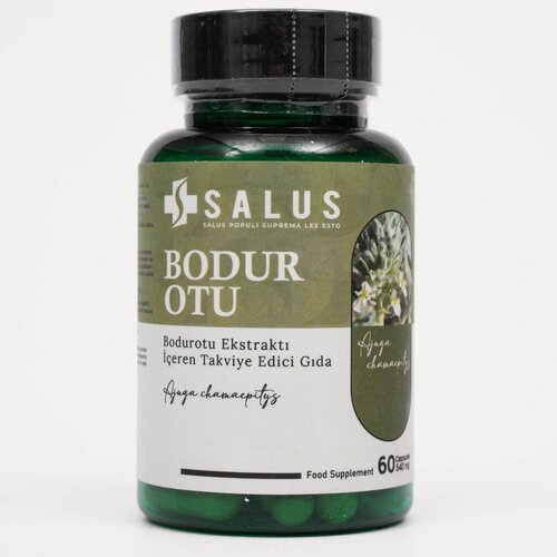 Изображение товара Аюга. Живучка елочковидная, 540 мг. 60 капсул. Для мужского здоровья. Турция