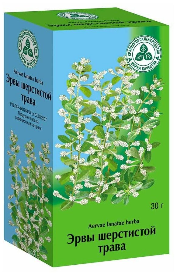 Картинки Эрвы шерстистой трава, 30 г