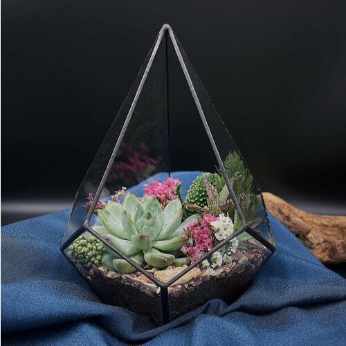 Флорариум с суккулентами Румяный цветок 14х14х18 см ДхШхВ 4500₽
