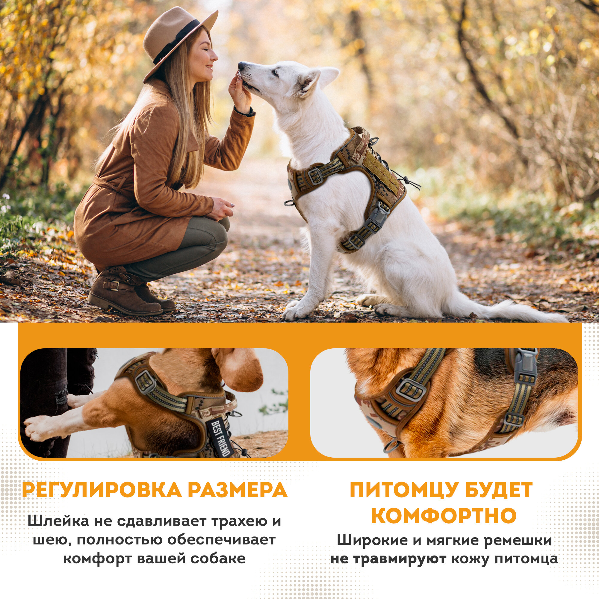 Шлейка OZBERRY Active Life, регулируемая, светоотражающие элементы, коричневая — фото 1