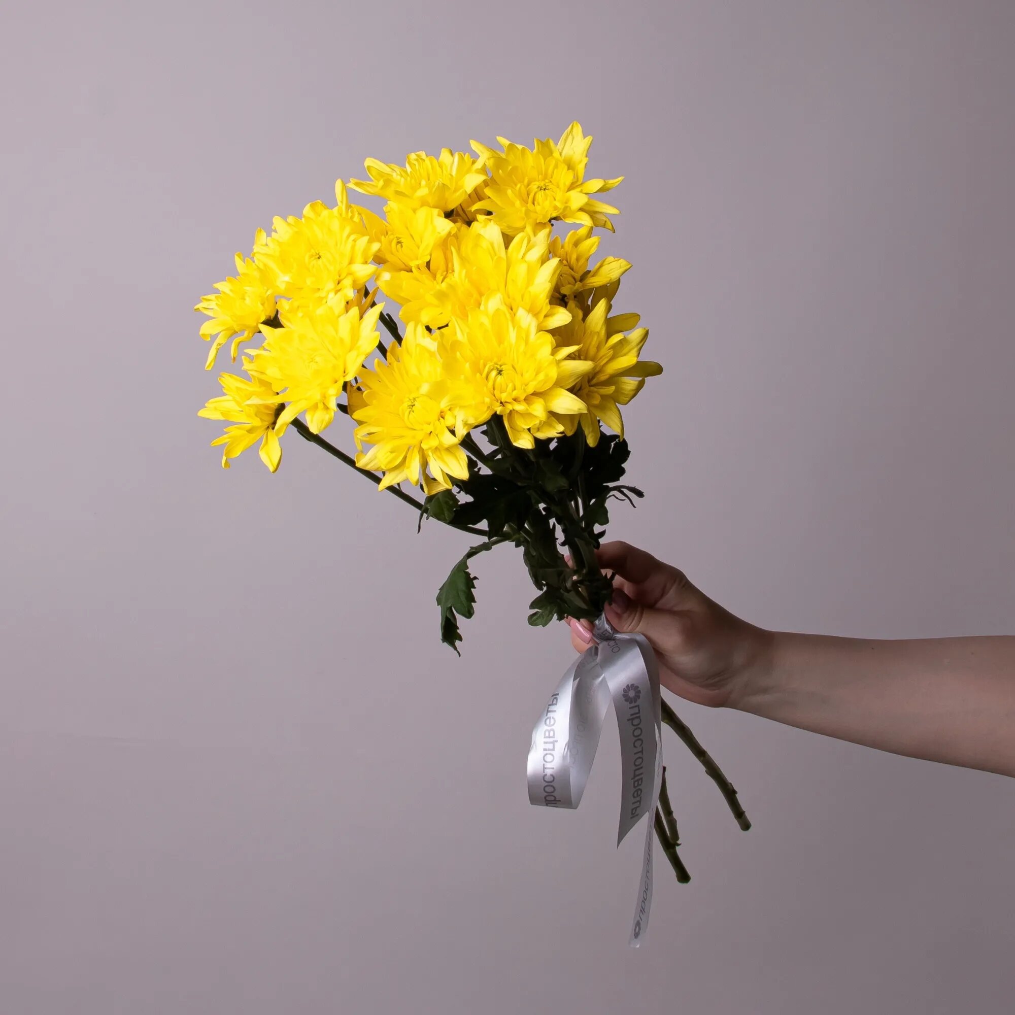 Букет Хризантема кустовая 