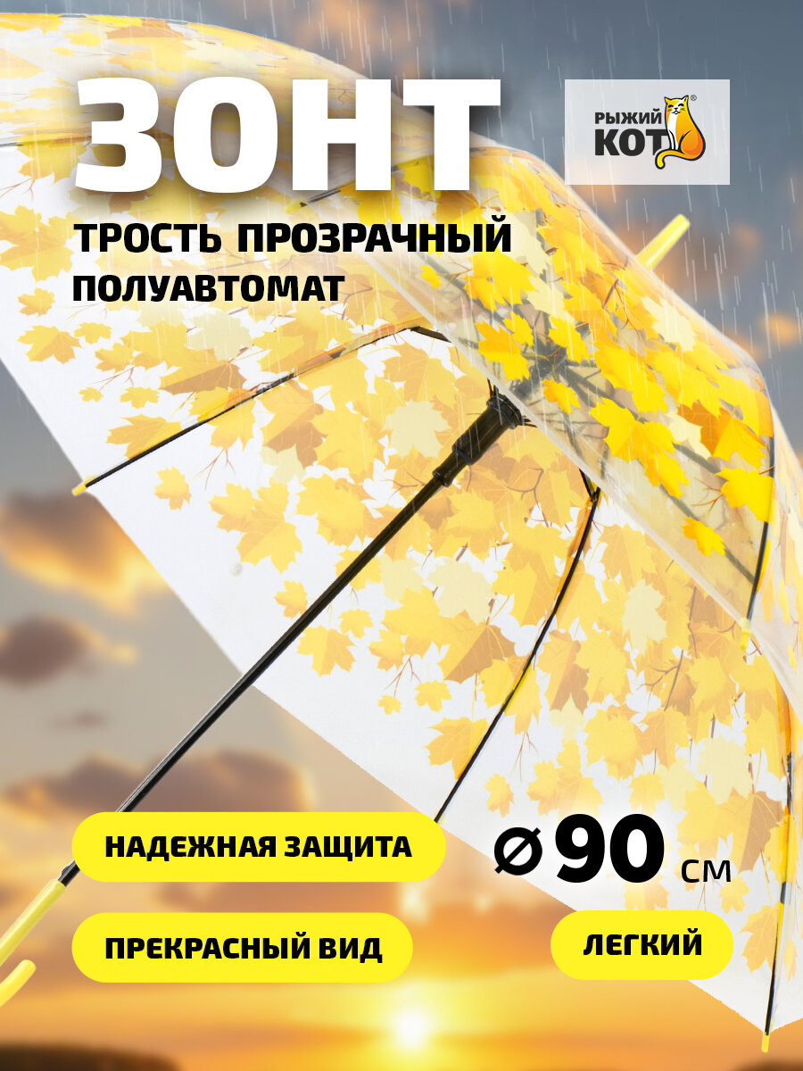 Зонт-трость Рыжий кот 