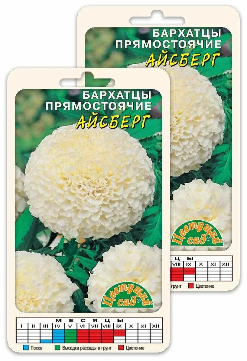 Семена Бархатцы Айсберг белые крупные махровые Цветущий сад  2 шт