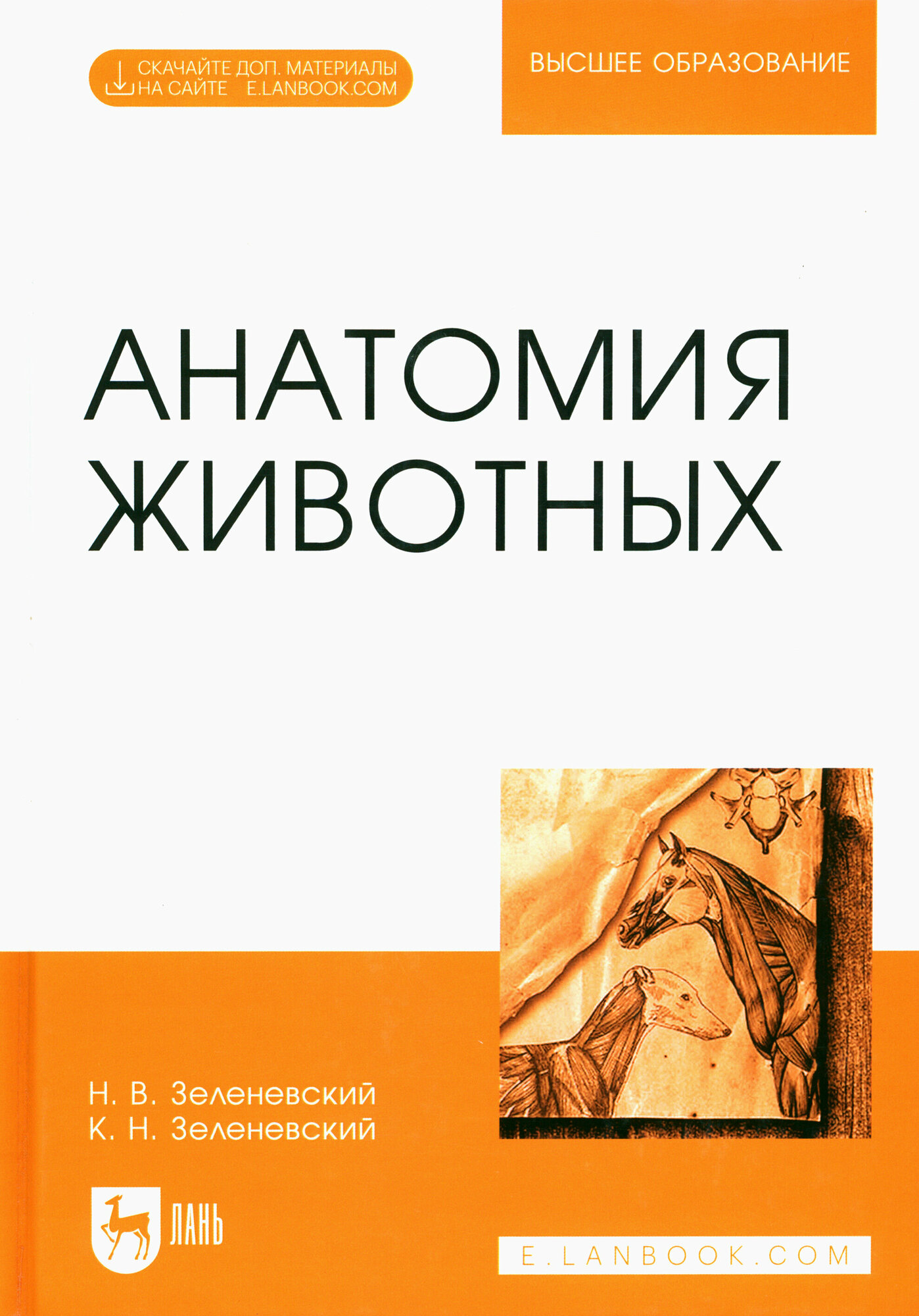 Анатомия животных Учебное пособие для вузов электронное приложение - фото №3