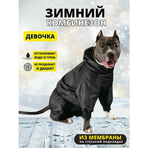 Комбинезон зимний для собак средних пород SNOW plus, 45+ж (сука), черный, 2XL+