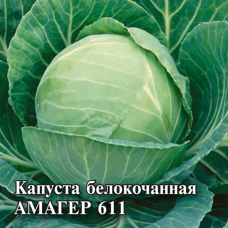 Семена Капуста белокочанная Амагер 611 25г Гавриш Фермерское подворье 2 пакетика