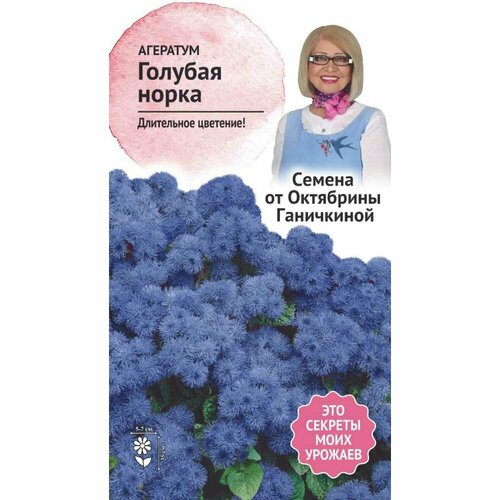 Агератум семена октябрина ганичкина Голубая норка семена агератум голубая норка 0 1 г