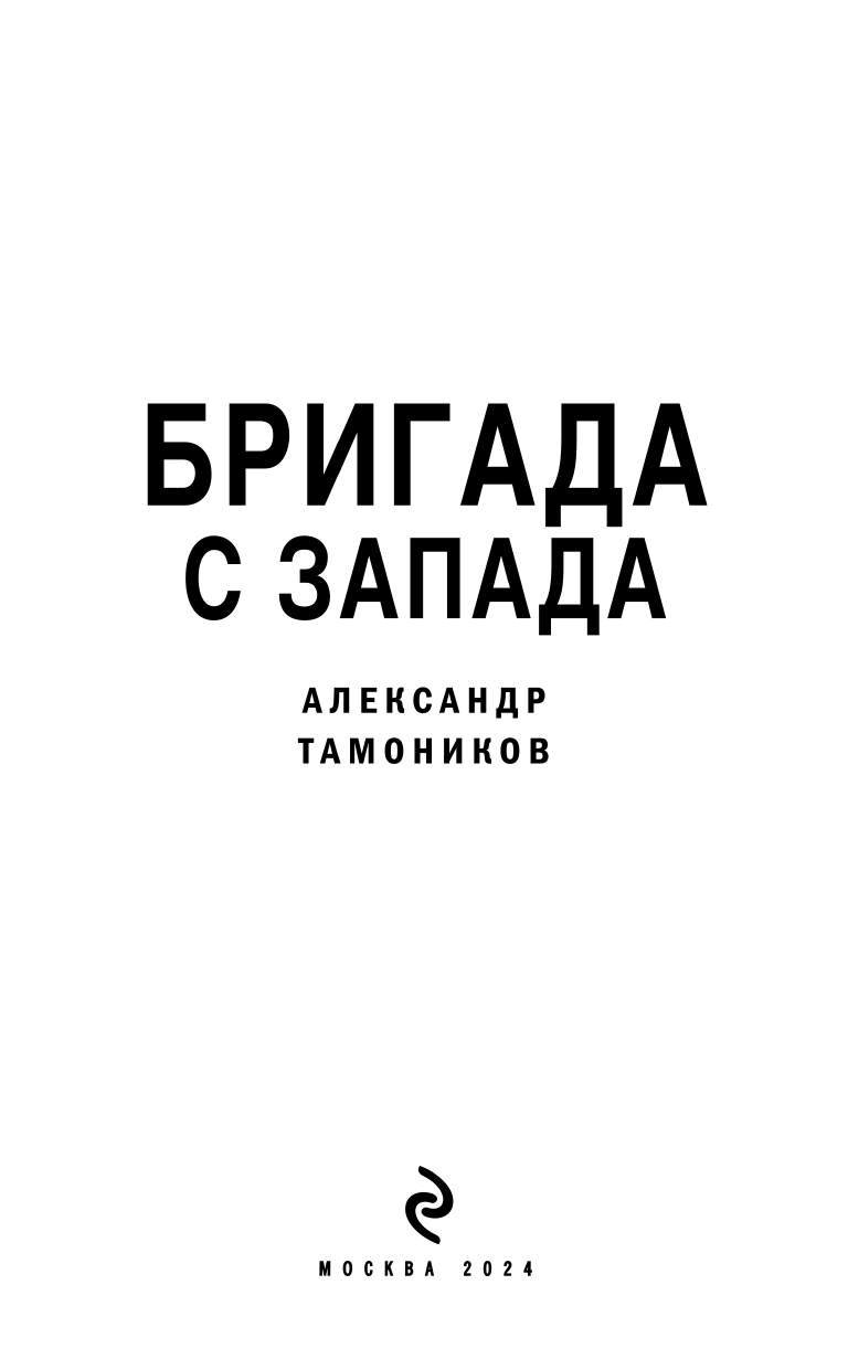 Бригада с запада (Тамоников Александр Александрович) - фото №6