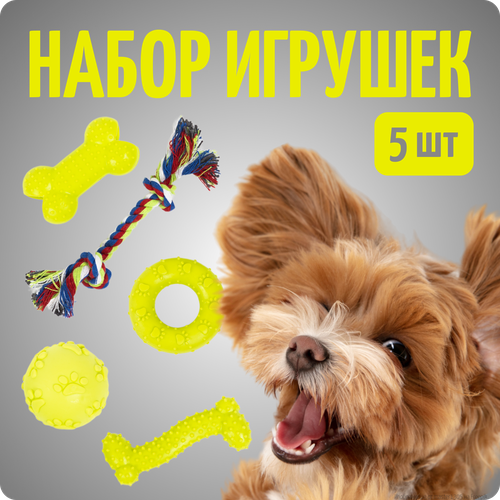 Игрушка для собак мелких пород и щенков, мячик, кость, набор 5 шт, Color Si