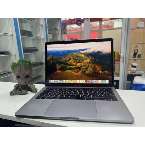 133 Ноутбук Apple MacBook Pro 2019 2560x1600 Intel Core i5 24 ГГц RAM 8 ГБ SSD 256 ГБ Intel Iris Plus Graphics macOS 59900₽