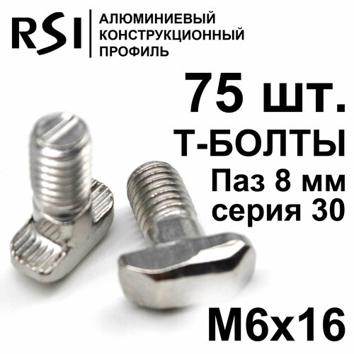 Т-болт М6х16, паз 8 мм, серия 30 - 75 шт.