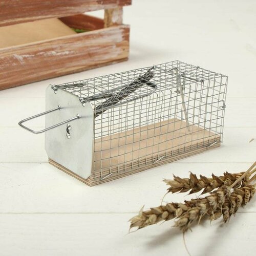 Мышеловка-ловушка клетка 12 5 5 см металл 558₽