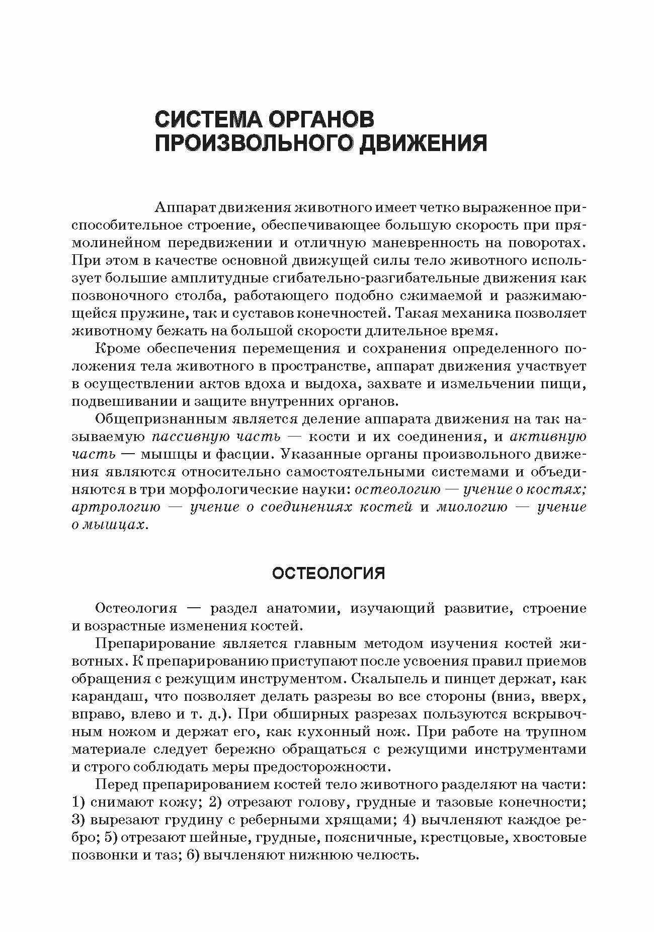 Анатомия животных Соматические системы Практикум Учебное пособие для вузов - фото №7