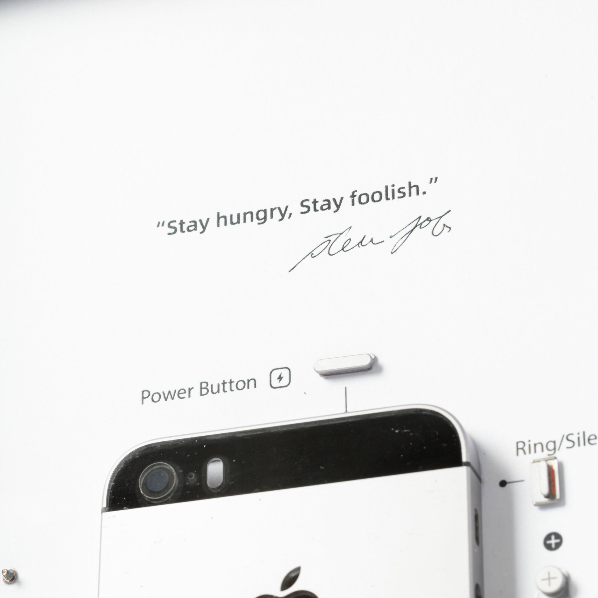 Картина разобранный iPhone 5 se Space Gray в рамке/ инсталляция/ стенд — фото 1