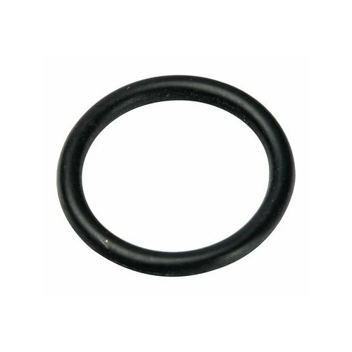 Уплотнительное кольцо G2 1/2 (прокладка) ТЭНа для электрокотла ЭВПМ Ресурс