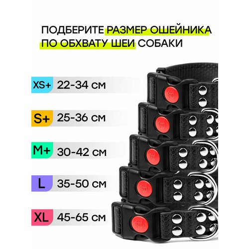 Ошейник из биотана 35-50 см (L), 25 мм, Woofy "Geksa" водостойкий, бирюзовый