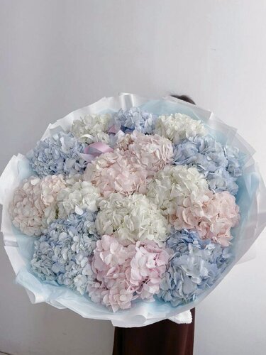 Изображение товара Букет из нежных колумбийских гортензий светло розового, голубого и белого цвета 15 шт. FlowersGo