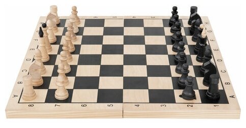 Игровой набор 3 в 1, шахматы, шашки, нарды, деревянные, доска 40х40 см 664671 — фото 1