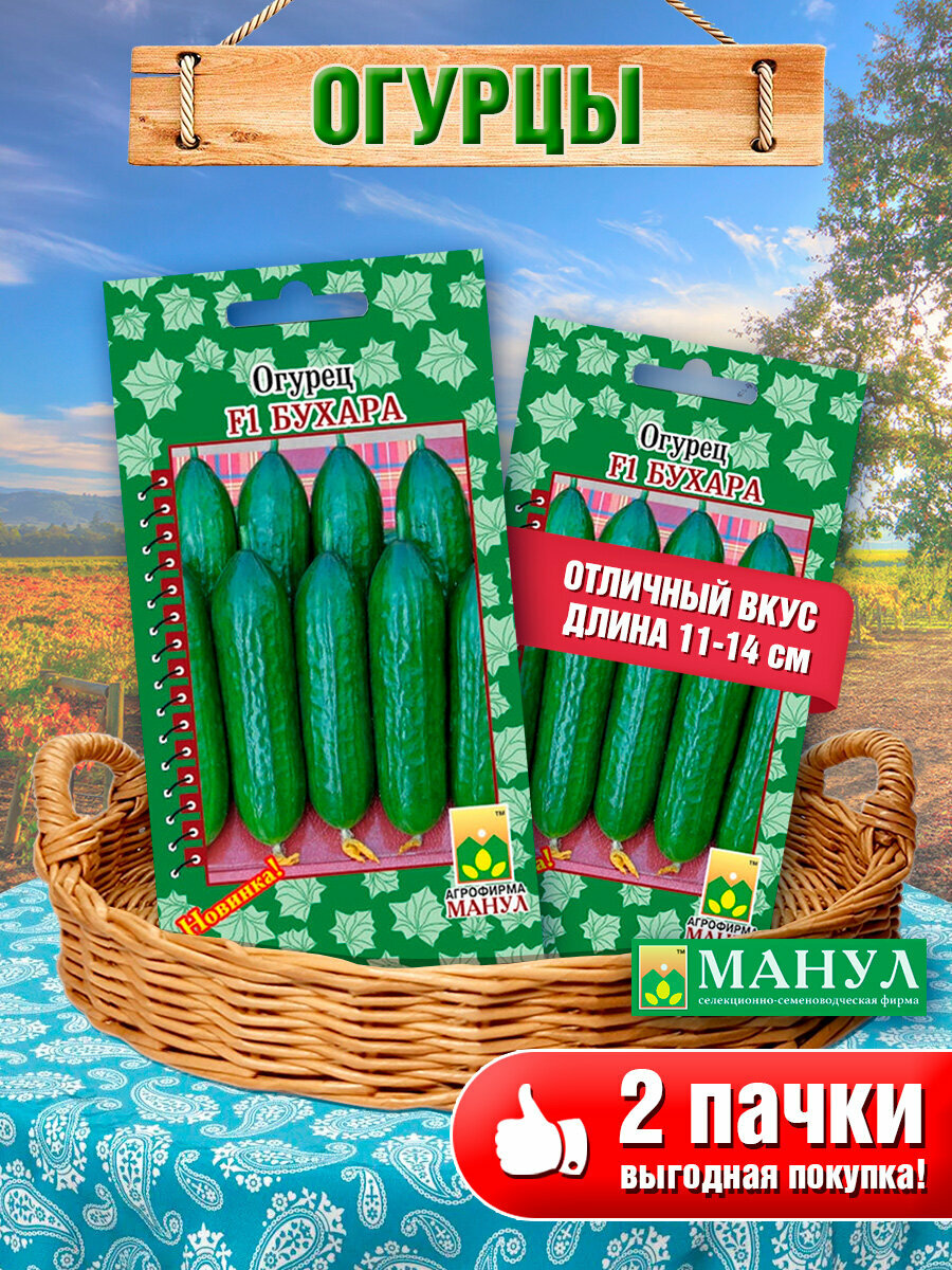 Набор семян огурцов 
