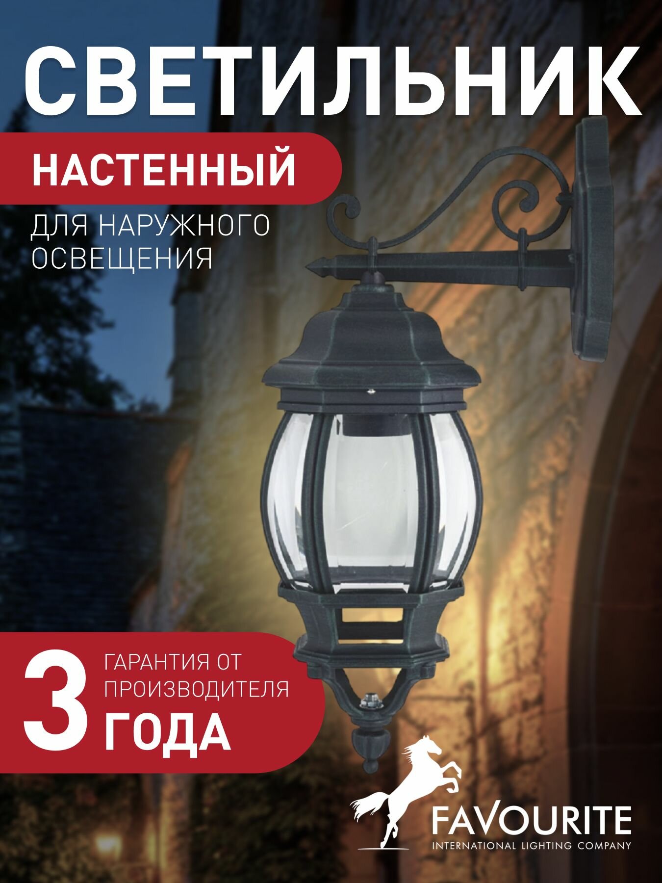 Уличный настенный светильник FAVOURITE 1807-1W 5 кв м E27 накаливания/ 100 Вт 3000 К IP44 металл