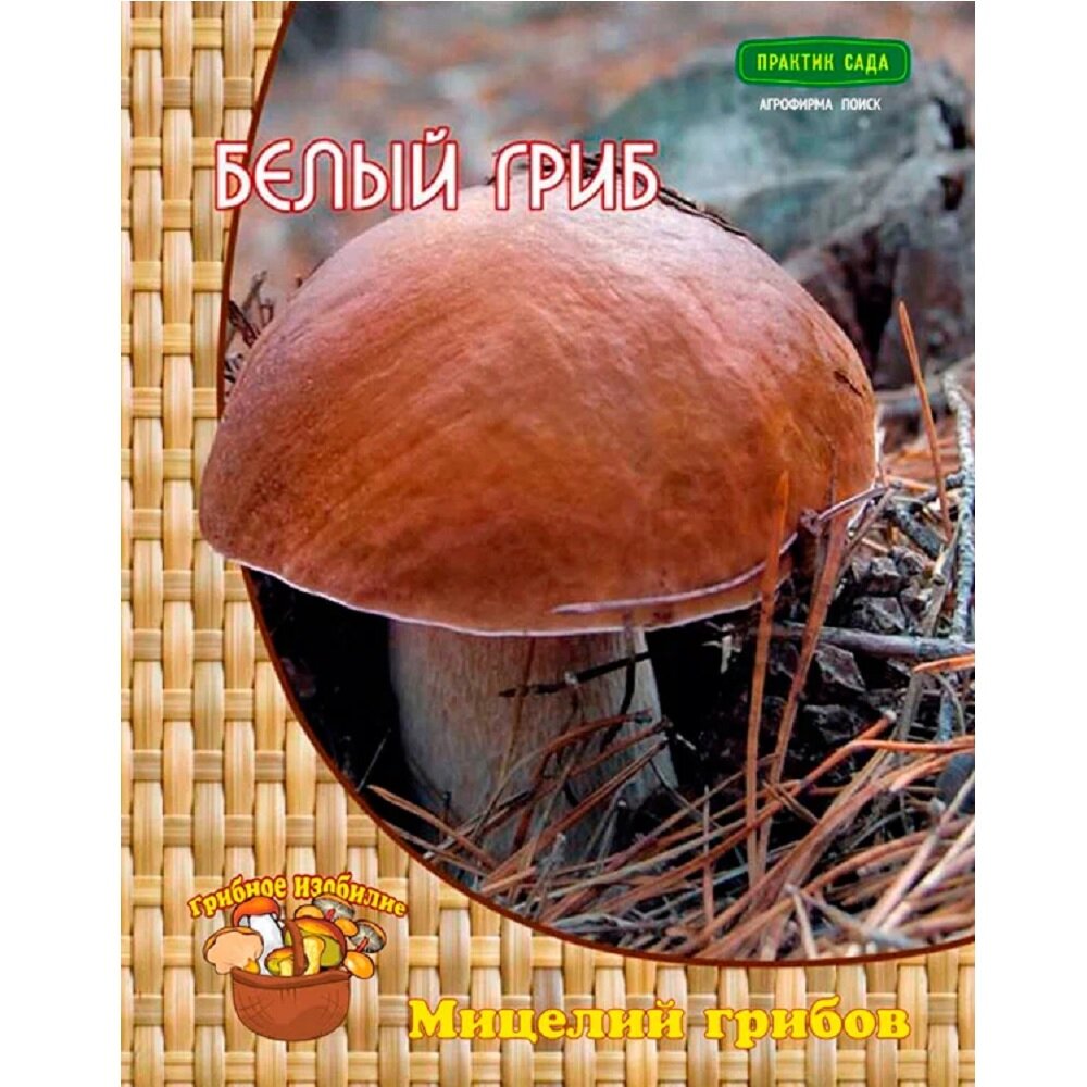 Мицелий грибов 