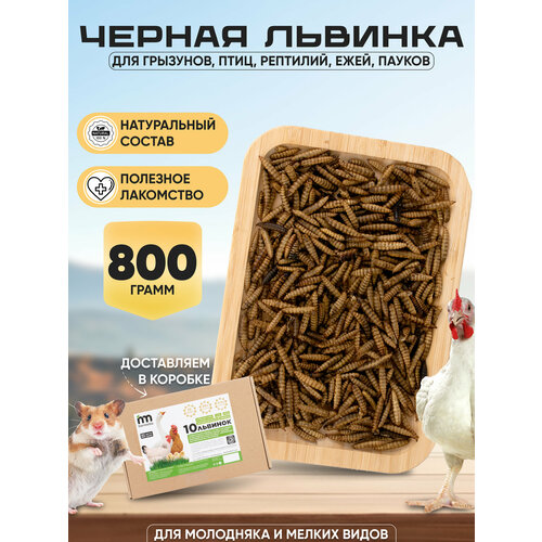 Корм для грызунов, птиц, рептилий, ежей, пауков, Личинка Черной львинки, Hermetia, 800гр