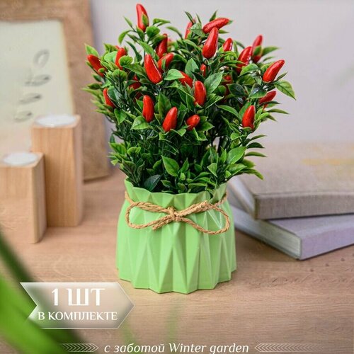 Перчик в кашпо 800₽