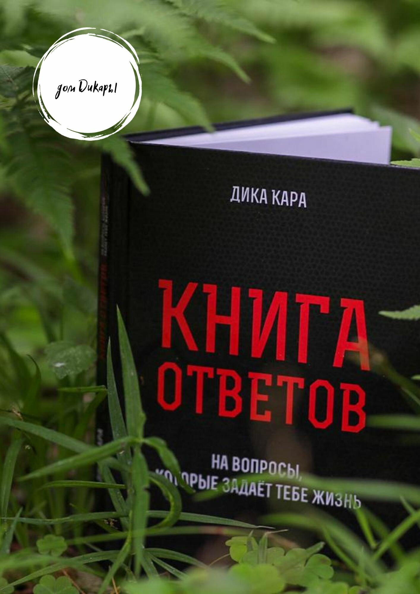 Книга ответов – 1. [на вопросы, которые задаёт тебе Жизнь] - фото №12