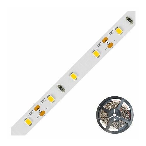 Световая лента-шланг-полоса 12В белая STR2012302802 EVN 4037293059503 25008₽