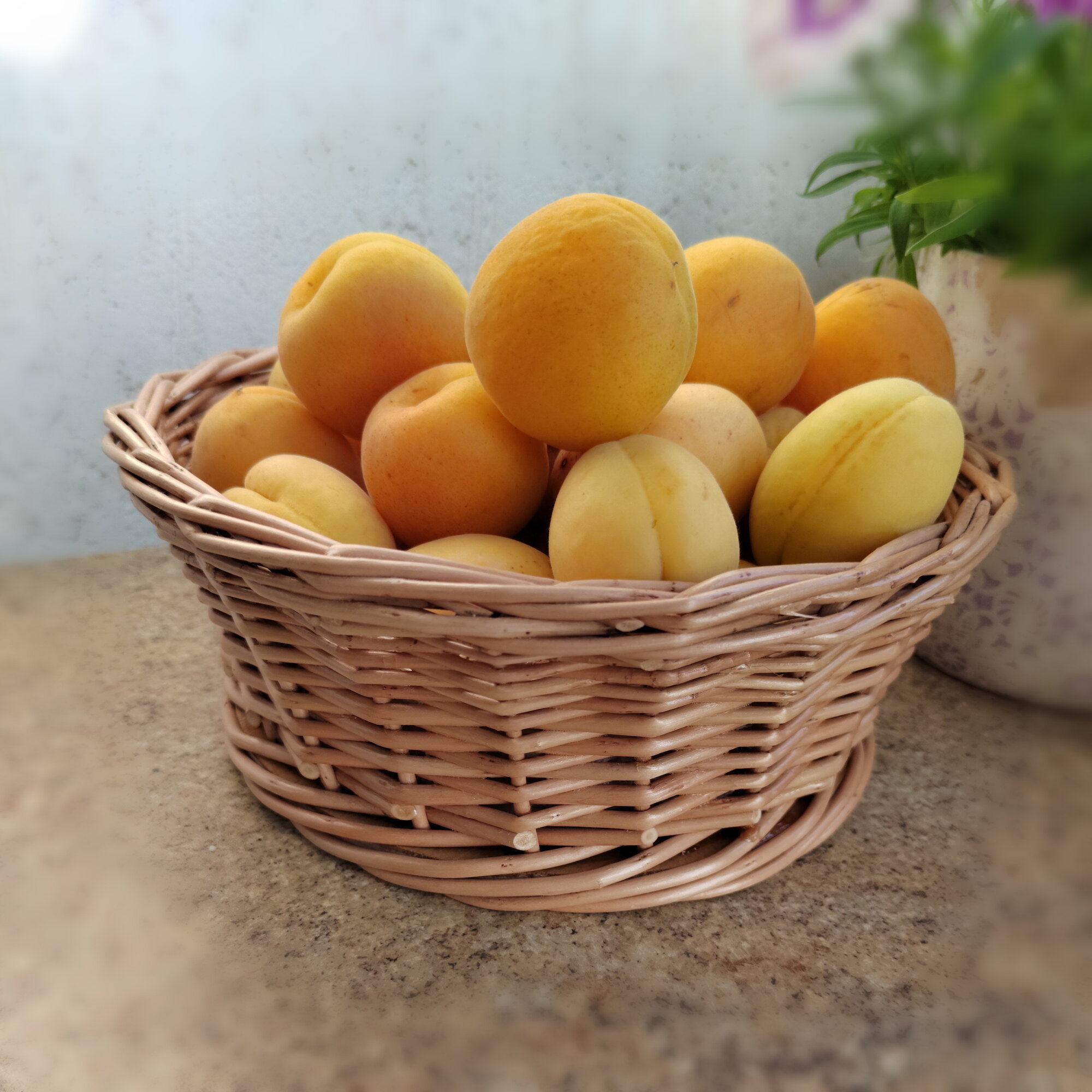 фото Плетеная корзина "Круглая", диаметр 23см