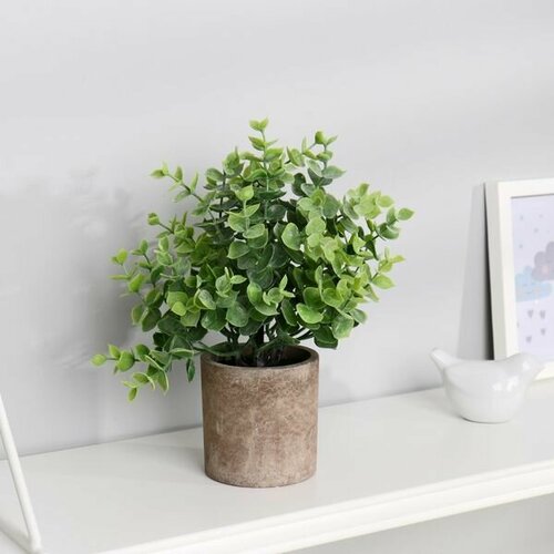 Растение искусственное в горшке Буксус 7,5х21см