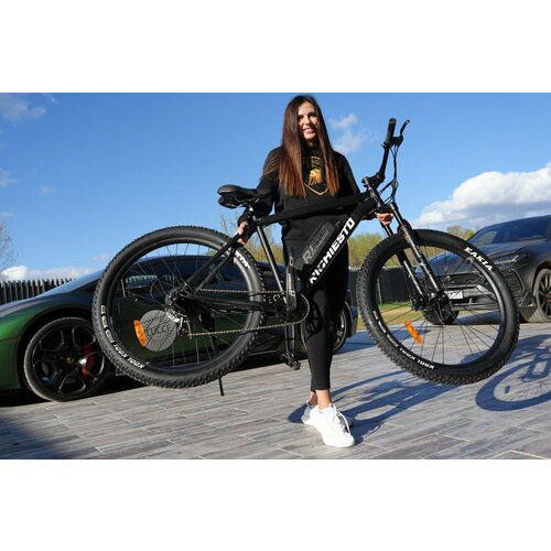 Электровелосипед Richiesto 297s Алюминиевая рама 21 Мотор 36V250W Взрослый Спортивный черный 57000₽