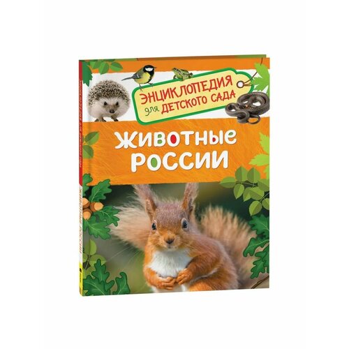 Энциклопедии животные россии энциклопедия для детского сада