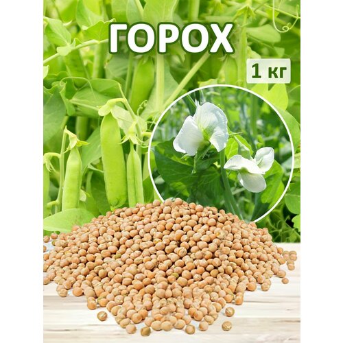 Семена Горох посевной сидерат 1кг 225₽