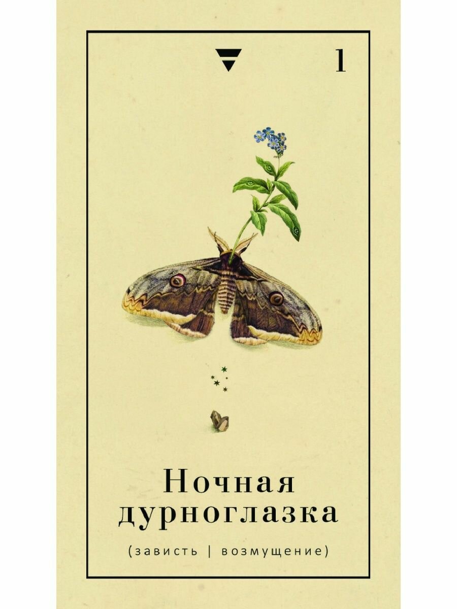 Оракул Сад Гекаты. О болезнях тела и души. 50 карт - фото №4