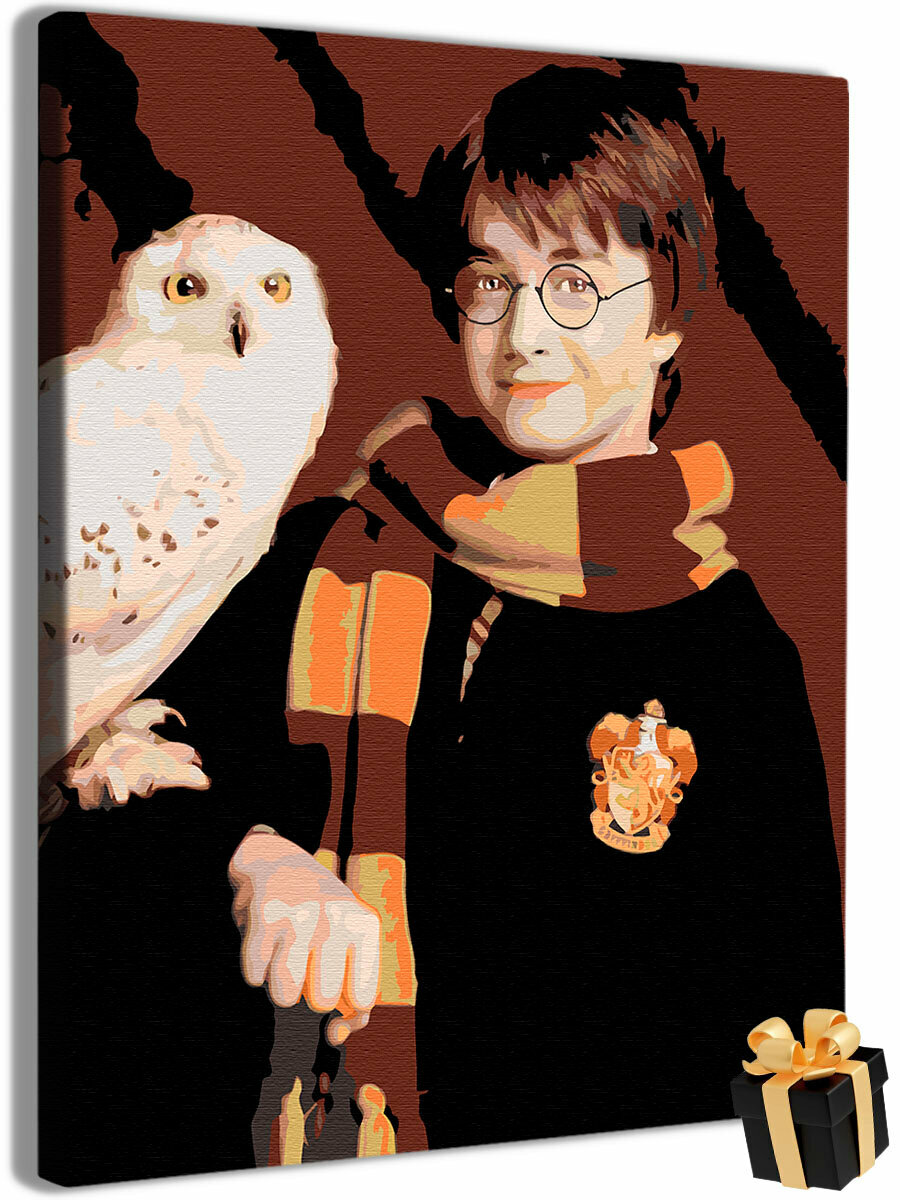 Картина по номерам Гарри Поттер с Буклей/ Harry Potter / холст на подрамнике