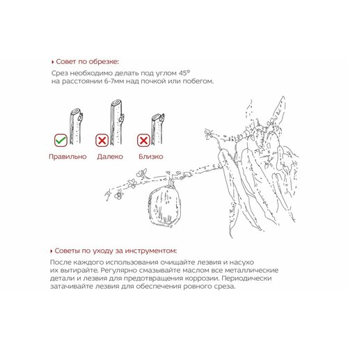 FRUT CLUB Секатор с храповым механизмом лезвия с тефлоновым покрытием 402218