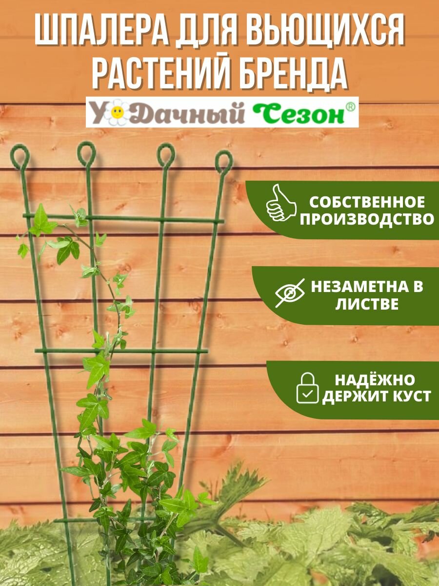 Изображение Шпалера для вьющихся растений Цветочный веер средняя, 100 см