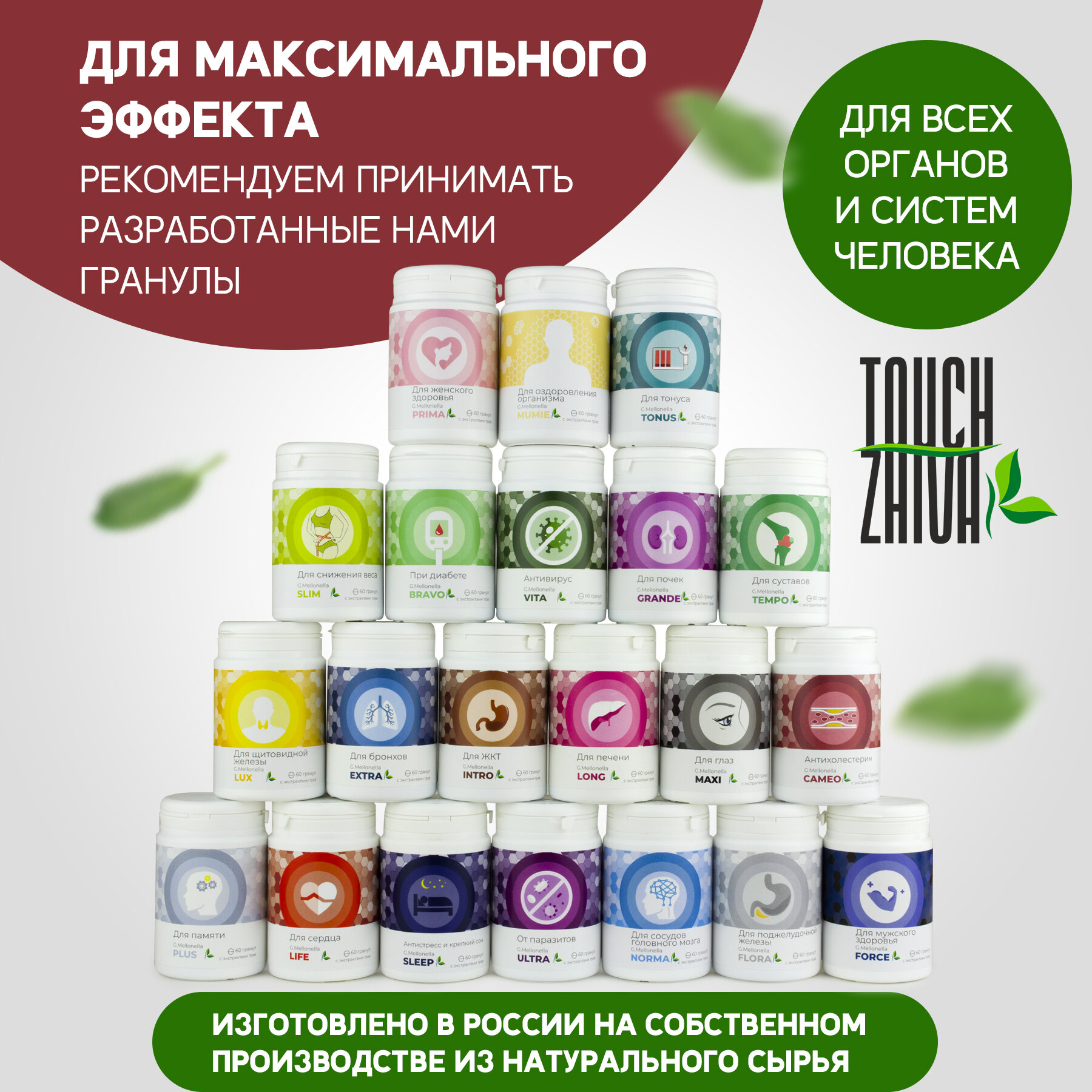 Растительные Препараты От Холестерина Огневка Камея - для снижения уровня холестерина в крови, гипертониия, повышенный холестерин 60 гранул