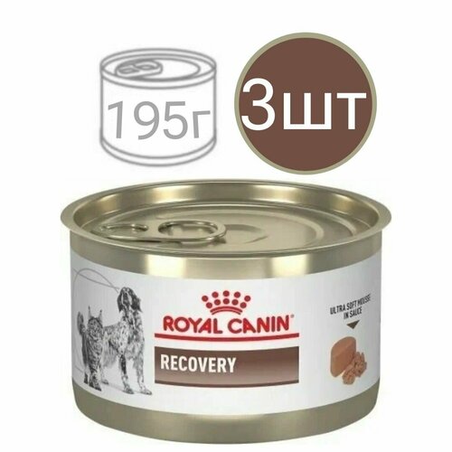 Влажный корм для кошек и собак , Royal Canin Recovery , в период восстановления после операции (3шт по 195г)