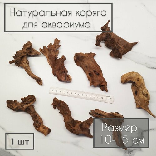 Натуральная коряга для аквариума и террариума 10-15 см (1 шт)