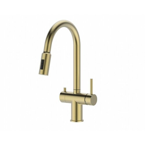 Смеситель для кухни под фильтр с выдвижным изливом Vieir V15060-S матовое золото золотистый