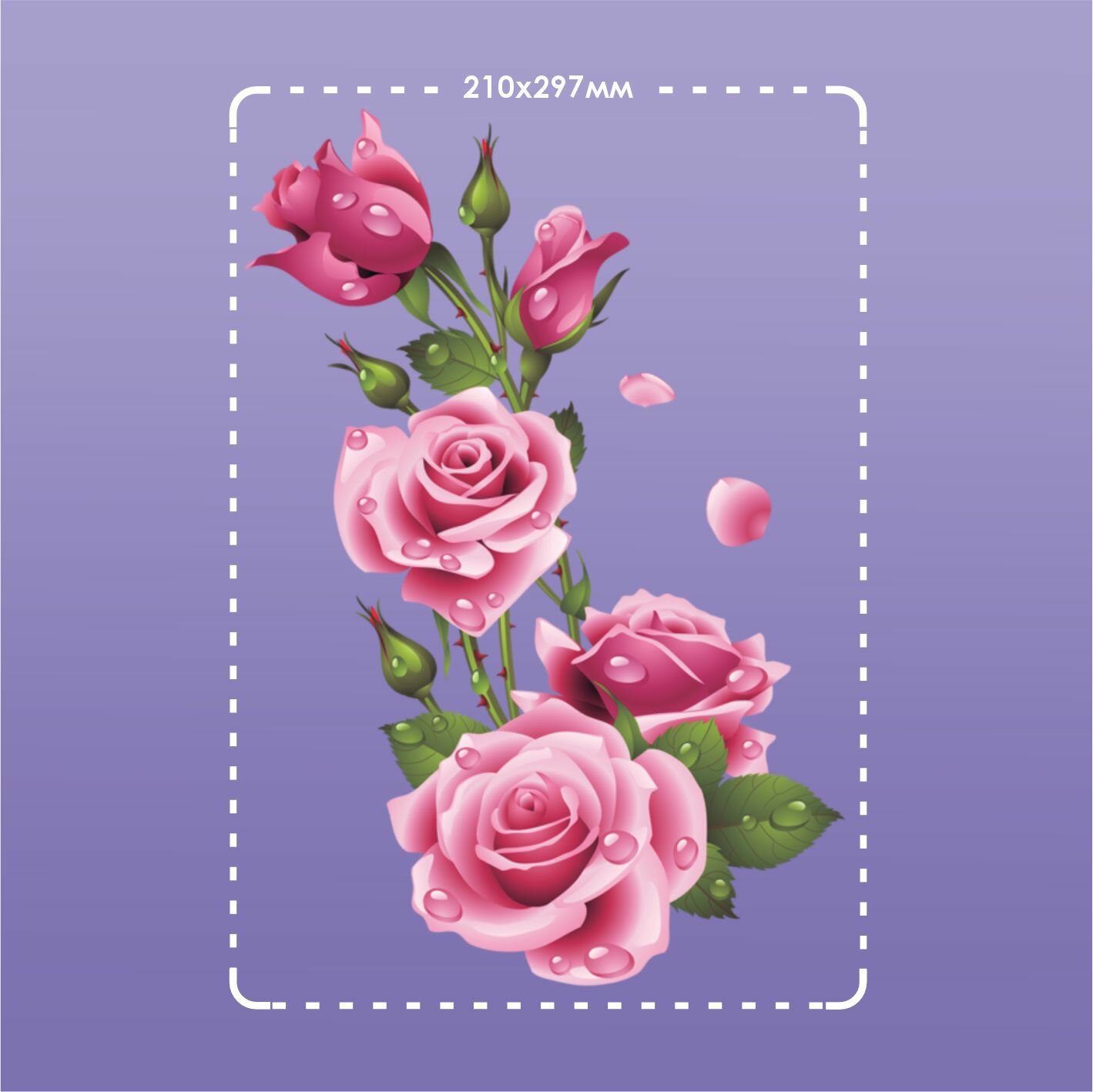 Термонаклейка на одежду Цветы розы — фото 1