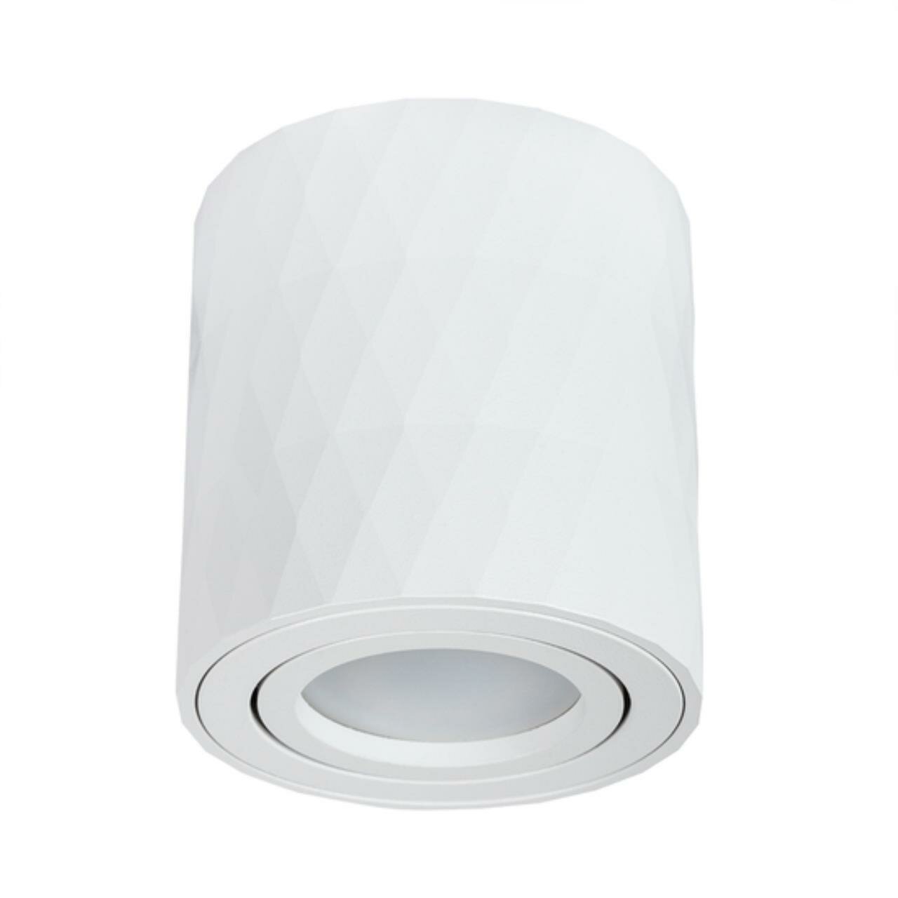 Точечный накладной светильник IP20 Arte Lamp FANG A5559PL-1WH