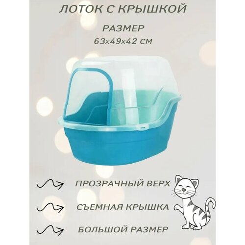 Туалет-домик/лоток "Чистый котик" 63х49х42 см