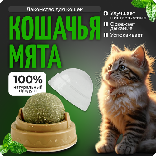 Кошачья мята, Игрушка для кошек шарик мятный, лакомство, на липучке, COLOR Si