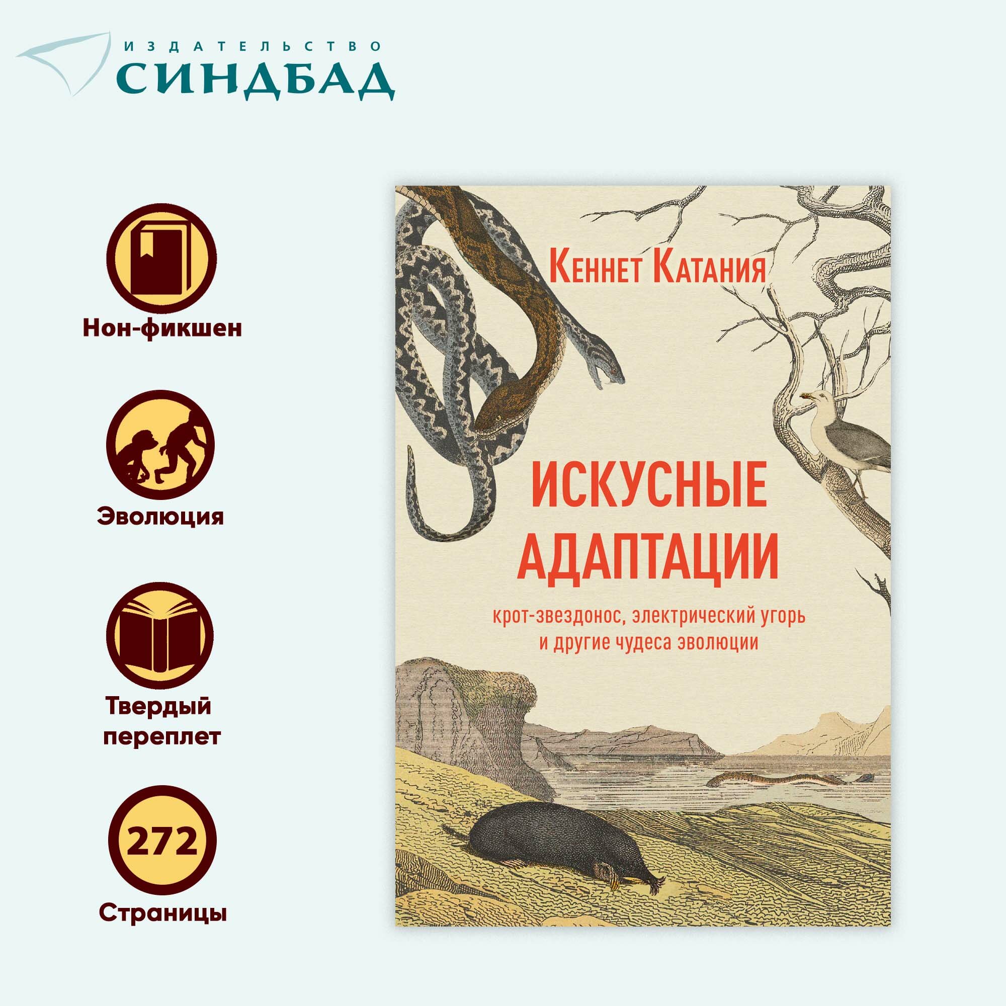 Книга Искусные адаптации. Кеннет Катания. Синдбад. Твердый переплет