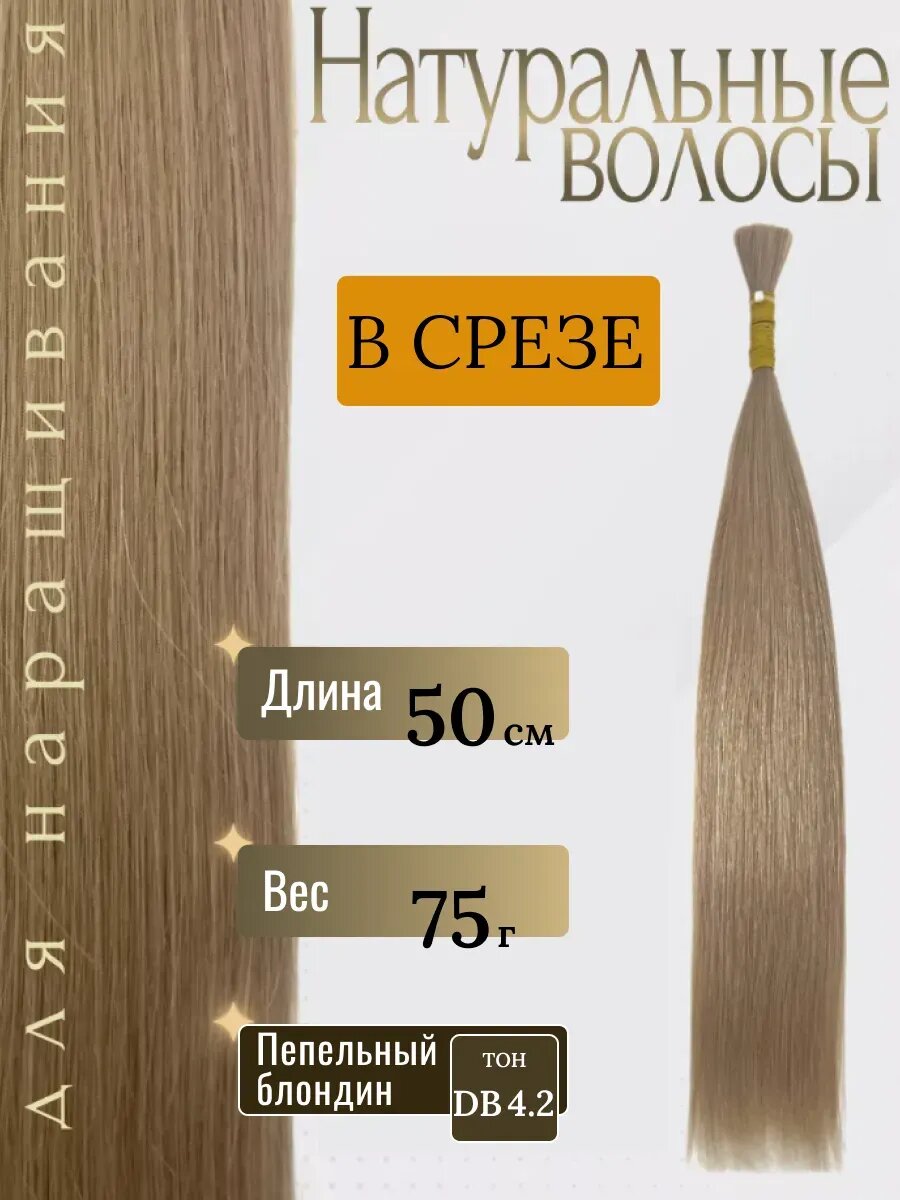 Натуральные волосы в срезе для наращивания DB4.2 тон 50 см / Slavic Hair company