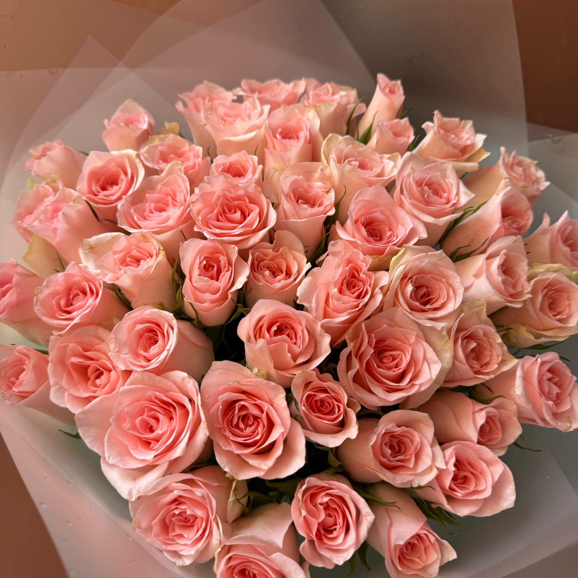 Букет из 51 голландской розы Фламинго 50 см