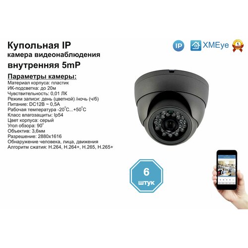 6шт DVS300IP5MP Внутренняя IP камера 5мП с ИК до 20м 1932000₽
